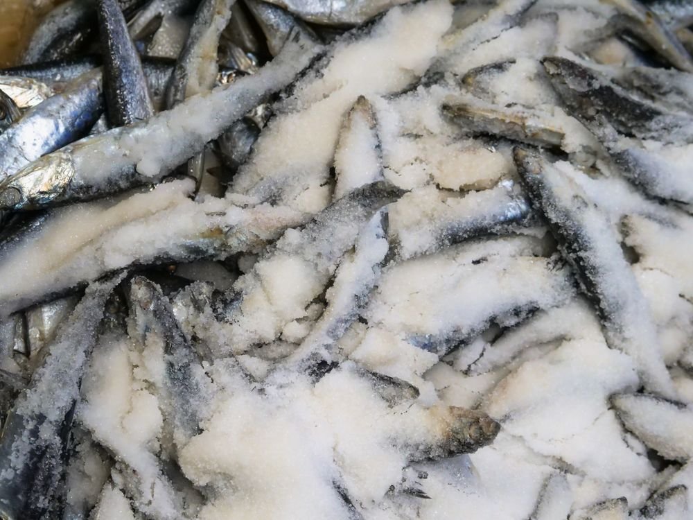 Bacalhau Gadus Morhua Porto